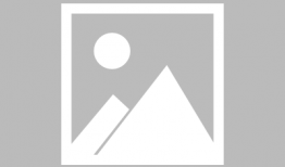 乱世书香电视剧全集在线观看