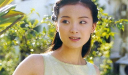 王艳电视剧,演绎经典角色，诠释人生百态